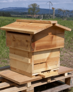 Completed Warre Hive - Linseed Oil Finish