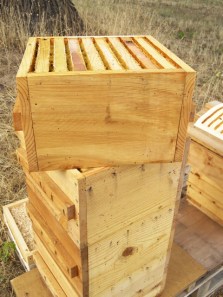 Twisting the Top Warre Hive Box