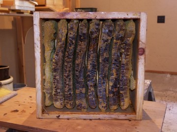 Warre Hive Box Full of Honeycomb