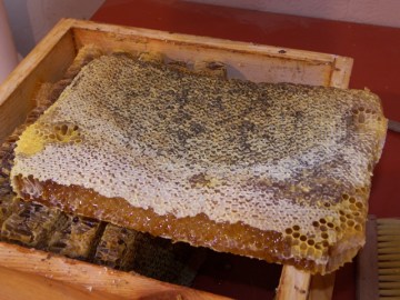 A Full Piece of Honeycomb