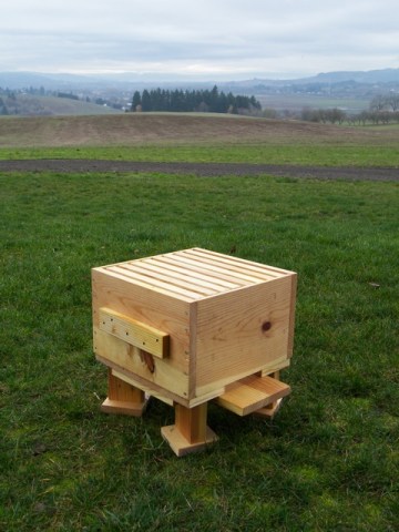 The Warre Hive Box Installed