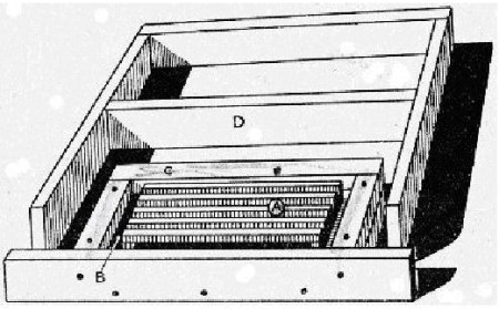 warrehivespringsummerfeeder warrehivespringsummerfeeder